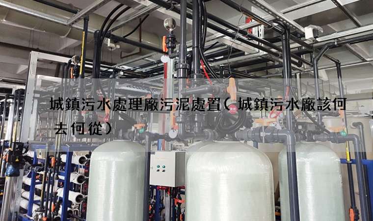 城鎮污水處理廠污泥處置(城鎮污水廠該何去何從)